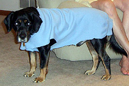 20071125-django_sweater.jpg