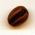 coffee_bean.jpg