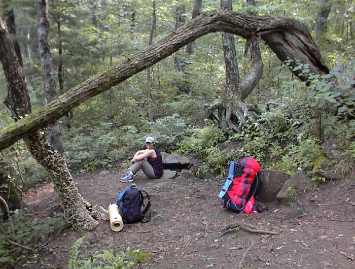 rest stop at spring